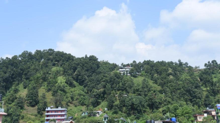 Hotel Green Hill View 포카라 외부 사진